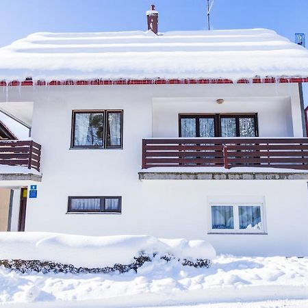 Apartman Japlenski Delnice Extérieur photo