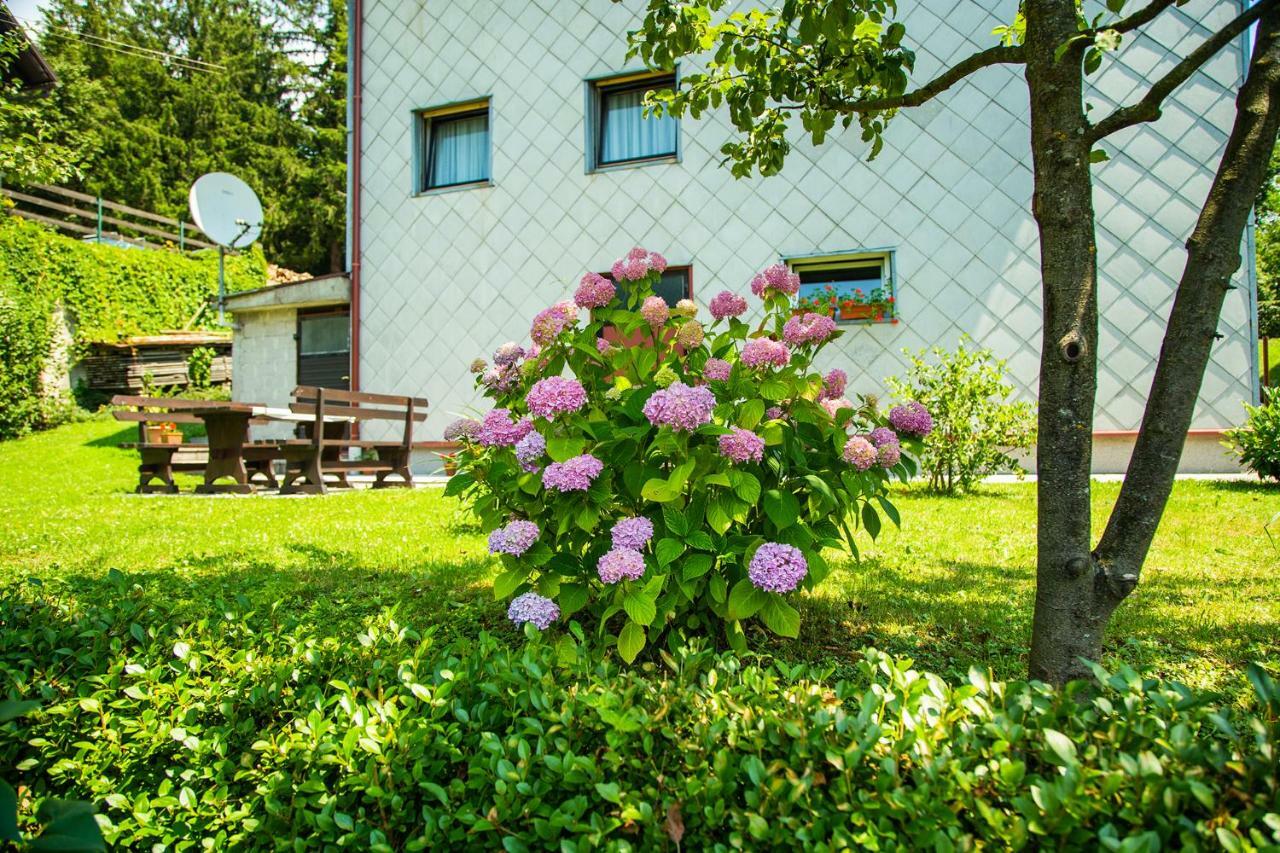 Apartman Japlenski Delnice Extérieur photo